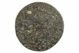 Stony Chondrite Cabochon ( g) - Meteorite #238226-1